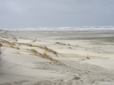 Reiterhof Harms Norderney Pferdekur