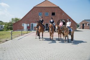 Reiterhof Harms Norderney Pferdehof